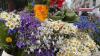 Traditional Midsummer grass market opens in Old Rīga