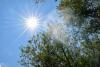 Heat Advisory issued for Arlington and D.C. area Thursday