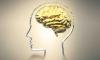 Scientists Discover Brain Emits Measurable Light That Changes with Mental Activity