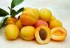 Some 366 trucks with Armenian apricots crossed border into Russia