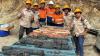 Estrella strikes near-surface manganese paydirt in Timor-Leste