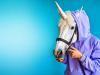 Startup IPO frenzy: Why most unicorns don't measure up to market realities