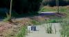 Beauty spot polluted with raw sewage as pipe bursts