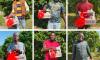 Yango Zambia honors 100 partner drivers to mark International Drivers Day 2025