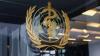 India scores high in graphic health warnings, cessation bans: WHO report on global tobacco use
