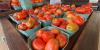 Mississippi Department of Agriculture launches statewide tour to push for state to eat healthier