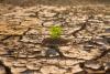 Food sector breakthrough tackles climate challenge in Australia