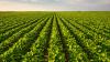Innovative company unveils major initiative that could revolutionize agriculture: 'Expected to significantly improve'