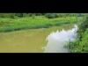 Rio Cobre pollution case against Wisynco collapses; DPP explains why