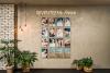 Airbnb Launches New Celebrity Experiences: What to Know for Travellers