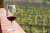 Arizona wine country: The 3 regions + their top wineries