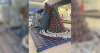 Anchorage CANstruction winners showcase creativity, help Food Bank
