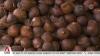 Snake fruit farmers face economic hurdles despite global honour for agricultural system