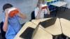 North London education trust showcases how technology is transforming learning for thousands of pupils