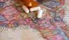 Study highlights high antimicrobial resistance rates, limited data, in African countries