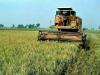 Agriculture comes under renewed focus