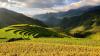 Profit meets planet: Rethinking agricultural finance in SA