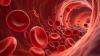 ‘Gwada Negative’: Scientists discover new blood group in a woman from Guadeloupe