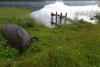 Unsettled weather suppresses blue-green algae in Finnish water
