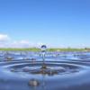 Scientists Evaluate Six Key Water Conservation Techniques for Agriculture