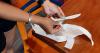 Delaware Considers Cracking Down on Takeout Single-Use Food Items