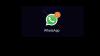 Tired of Constant Alerts? WhatsApp Lets You Mute Many Chats at Once