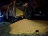 Ukraine to seek EU sanctions against Bangladesh over Russia-stolen grain import