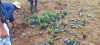 Basotho enhance forestry practices to combat climate change