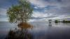 Scientists issue warning after observing concerning 'browning' phenomenon in waterways: 'Now we need to look more closely'