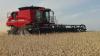 Argentina finishing big soybean harvest
