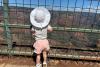 Traveling to Kauai with a Toddler: A Family Vacation Guide