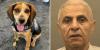 Egyptian man deported after violently kicking border security beagle