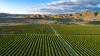 Officials raise red flags over increasing threat to local agriculture: 'We don't want them established'