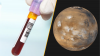 Science news this week: A unique new blood type and 'spiderwebs' on Mars