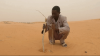 Consumed by Terror: Insecurity, other factors threaten Africa’s ambitious Great Green Wall (II)