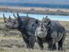 Tanzania welcomes global travel leaders for World Travel Awards Africa & Indian Ocean Gala Ceremony