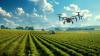 Rainforest Alliance report unveils regenerative agriculture milestone