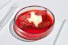 Texas Bans Lab-Grown Meat, Citing Consumer Protection and Agricultural Interests