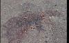 Tension high in Isiolo as human rights activist killed, scores injured