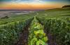 Explore Champagne, France: Top Attractions, Vineyards And Travel Tips