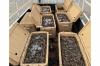 Bahrain: 26-Year-Old Caught With Illegal Catch Of Shrimp and Rabbitfish