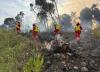 Wildfire Situation in the Country: Ministry of Defense Reports 9 Fire Outbreaks in 24 Hours