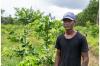 Behind Buzzing Agriculture