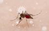 Smarter Science: Staying One Step Ahead of the Next Pandemic