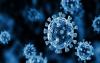 World : New York Declares Disaster Emergency Over Measles Outbreak