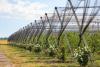 One million lei in subsidies for a family agricultural business in Orhei rayon