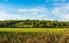 Lifestyle The Cool Down Researchers make game-changing discovery after studying entirely new type of farmland: 'Cheaper and more available'