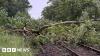 Do not travel warning after tree blocks West Coast Main Line