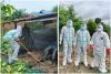 Ten cases of bird flu reported in Cambodia so far in 2025