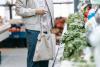 Wholesale Market in Bulgaria Stable: No Economic Basis for Retail Price Hikes